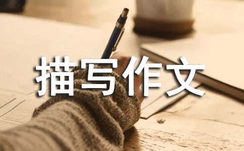 篮球青训营中的体能训练方案有哪些?_2